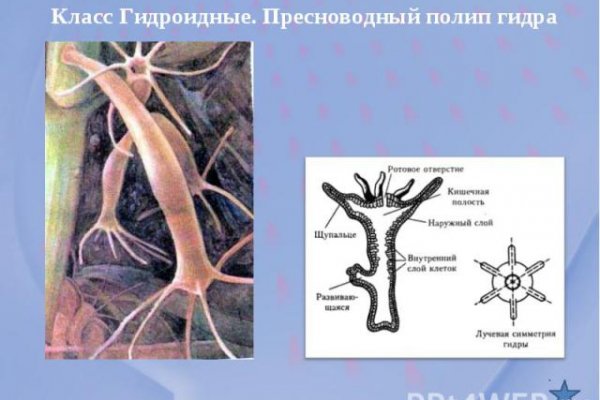 Ссылки кракен телеграф