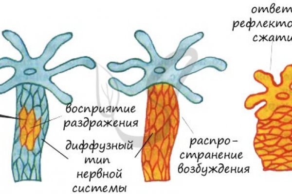 Что за кракен маркет